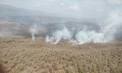 Secretaría de Marina se suma a combate de incendios forestales en Cd del Maíz
