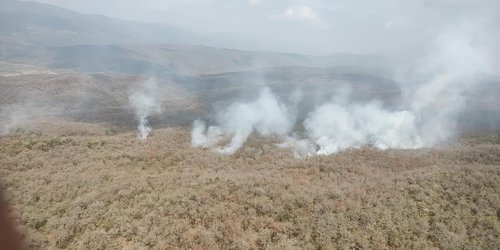 Secretaría de Marina se suma a combate de incendios forestales en Cd del Maíz