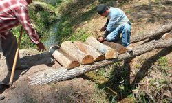 Reutilizan madera y construyen puentes, mesas y bancas en la Ribera del Río en CDFDZ