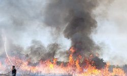 Siguen incendios en "La Pasadita": Ya van cinco