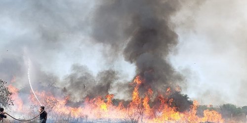 Siguen incendios en "La Pasadita": Ya van cinco