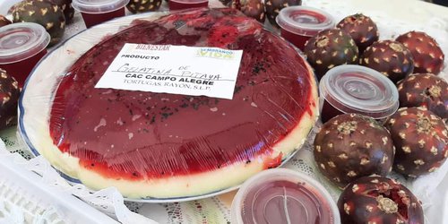 Realizaron Feria de la Pitaya en Rayón