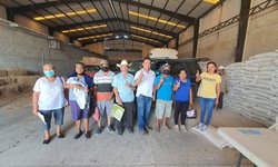 Entregan pacas de zacate a 600 ganaderos de Rioverde