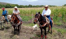 Abrirán caminos al lado del río Choy para desazolvarlo