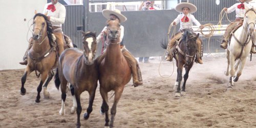 Inicia Campeonato Nacional Infantil y Juvenil de Charros y Escaramuzas SLP 2022