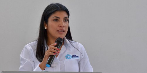 Llama Verónica Rodríguez a cerrar con unidad los procesos internos del PAN