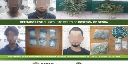 Por el presunto delito de posesión de drogas, 4 personas fueron detenidas por la Guardia Civil Estatal