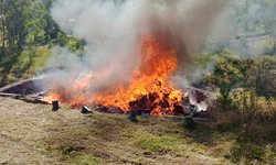 Más de 99 toneladas de marihuana fueron incineradas en 2022