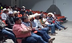 Productores deben optar por ganadería regenerativa: Asociación Ganadera