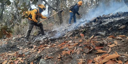 Finiquitan el incendio del Pescadito: 55 hectáreas afectadas