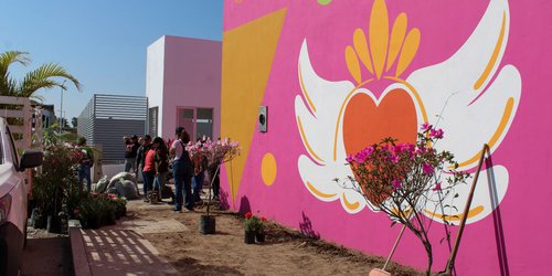 DIF Rioverde embellece áreas verdes del nuevo edificio UBR