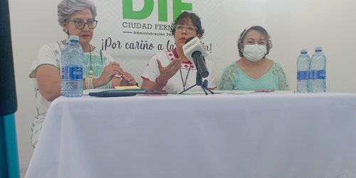 DIF CDFDZ instala módulo para tramitar credencial nacional para personas con discapacidad