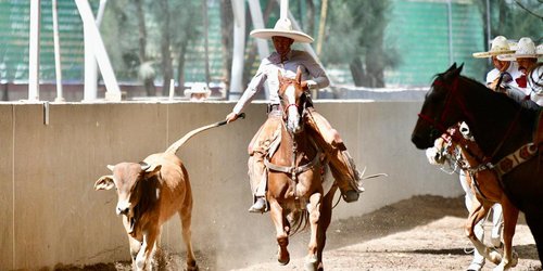 Rendirán homenaje a Jorge Negrete en próximo Congreso Nacional Charro : Ricardo Gallardo