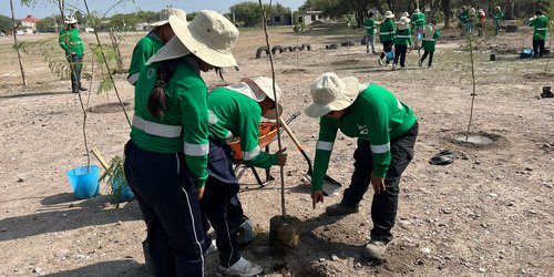 Más de 150 árboles plantados en campaña de reforestación en Llanitos