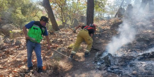 Controlado incendio en Cerro del Picacho: Bomberos