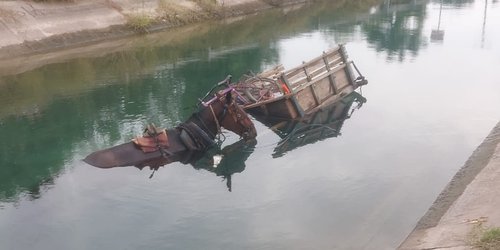 Carretón con todo y caballo cayó al canal de la Media Luna
