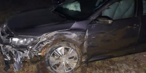 Chocó automóvil con caballo y luego salió de la supercarretera