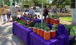 Habrá Festival de las Flores en plaza principal de Ciudad Fernández