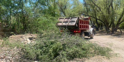 Sujeto tiraba basura con un camión de volteo en la ribera del río Verde