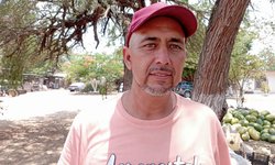 Golpes de calor también afectan a cultivos