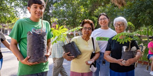 Cada vez más personas interesadas en sembrar arbolitos