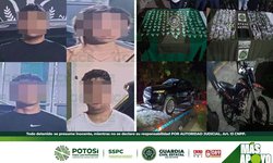 Guardia Civil Estatal asegura 1800 dosis de estupefacientes y desarticula célula  criminal