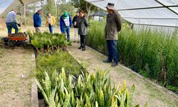 Segam supervisa crecimiento de árboles en el vivero Tangamanga I