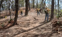 La Brigada Red-Fox impedirá con “brechas corta fuego”  propagación de incendios forestales