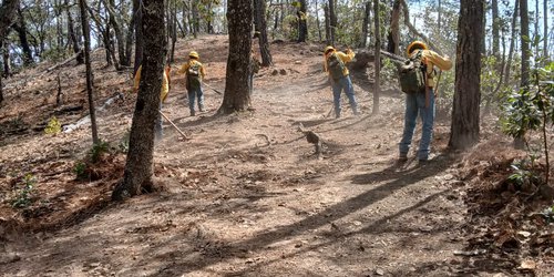 La Brigada Red-Fox impedirá con “brechas corta fuego”  propagación de incendios forestales