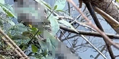 Cuerpo flotando en el río, pudiera ser de adulto mayor del Refugio