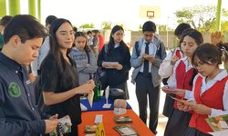 Feria vocacional hubo en la preparatoria "Celestino"