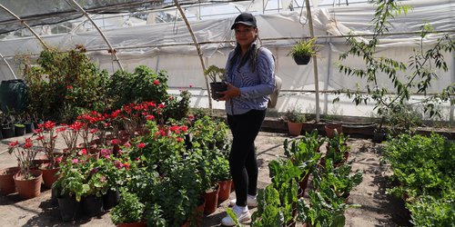 Ofrece DIF Estatal capacitaciones para la autoproducción de alimentos