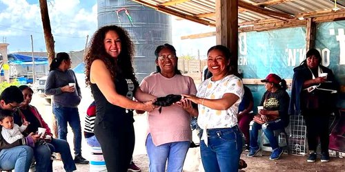 Colecta de cabello: Una iniciativa solidaria para quienes enfrentan el cáncer.