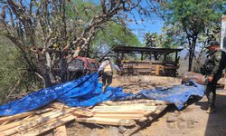 En operativo interinstitucional en la región media, se confiscan piezas de madera de pino y hojas de laurel