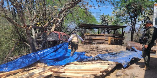 En operativo interinstitucional en la región media, se confiscan piezas de madera de pino y hojas de laurel