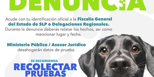 Investigan caso de maltrato animal en Tamazunchale