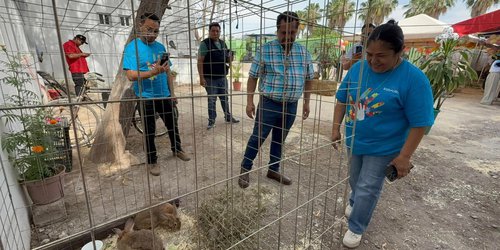 Gran Granja para la Concienciación sobre el Autismo en Ciudad Fernández