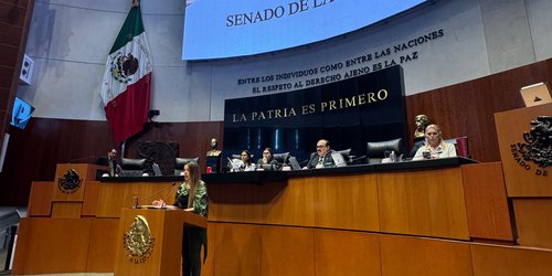 Ruth González Silva respalda el "Plan México" impulsado por la presidenta Claudia Sheinba para fortalecer la economía nacional
