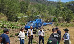 Avanza combate a incendios forestales en el Estado