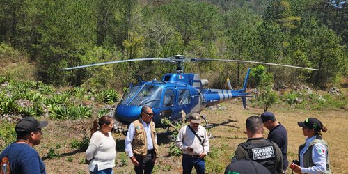 Avanza combate a incendios forestales en el Estado