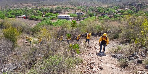 Tres y media hectáreas siniestradas por las llamas en la sierra de Rioverde