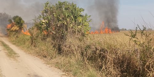 Protección Civil de Ciudad Valles reitera prohibición de quemas sin autorización