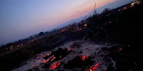 Se combate incendios forestales de forma permanente