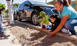 Impulsa SEPAPAR reforestación en planteles educativos con entrega de 65 arbolitos en el jardín de niños del Ejido El Refugio