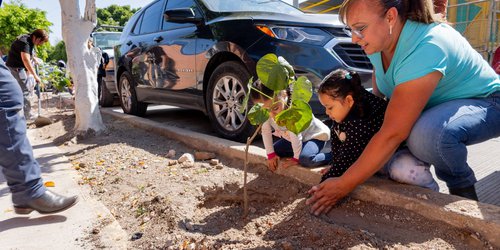 Impulsa SEPAPAR reforestación en planteles educativos con entrega de 65 arbolitos en el jardín de niños del Ejido El Refugio