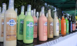 Villa de Pozos invita a emprendedores a participar en la FENAPO 2025