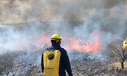 Comité del manejo del fuego combate incendio en Mexquitic