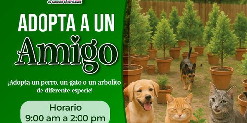 Campaña “Adopta a un amigo” busca dar hogar a perros y gatos y promover la reforestación