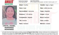 Alerta Amber para localizara una persona de 12 años de edad en la Huasteca Potosina
