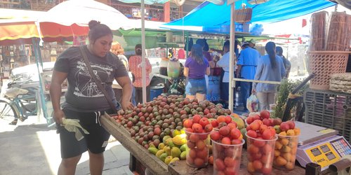 La temporada de ciruelas llega a Rioverde: sabor, tradición y economía local